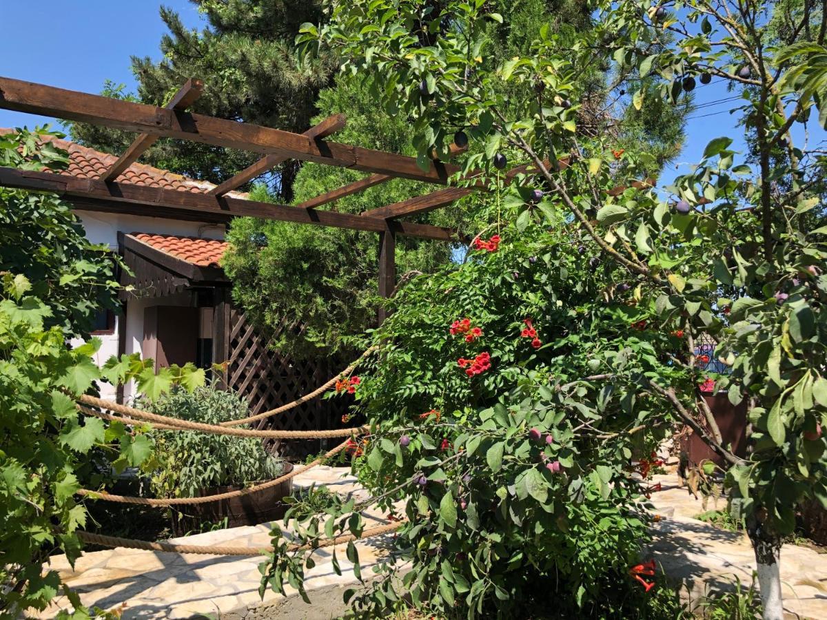 Grauri Si Smochini Hotell Vadu Exteriör bild