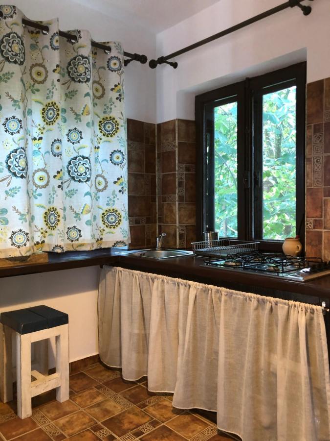 Grauri Si Smochini Hotell Vadu Exteriör bild
